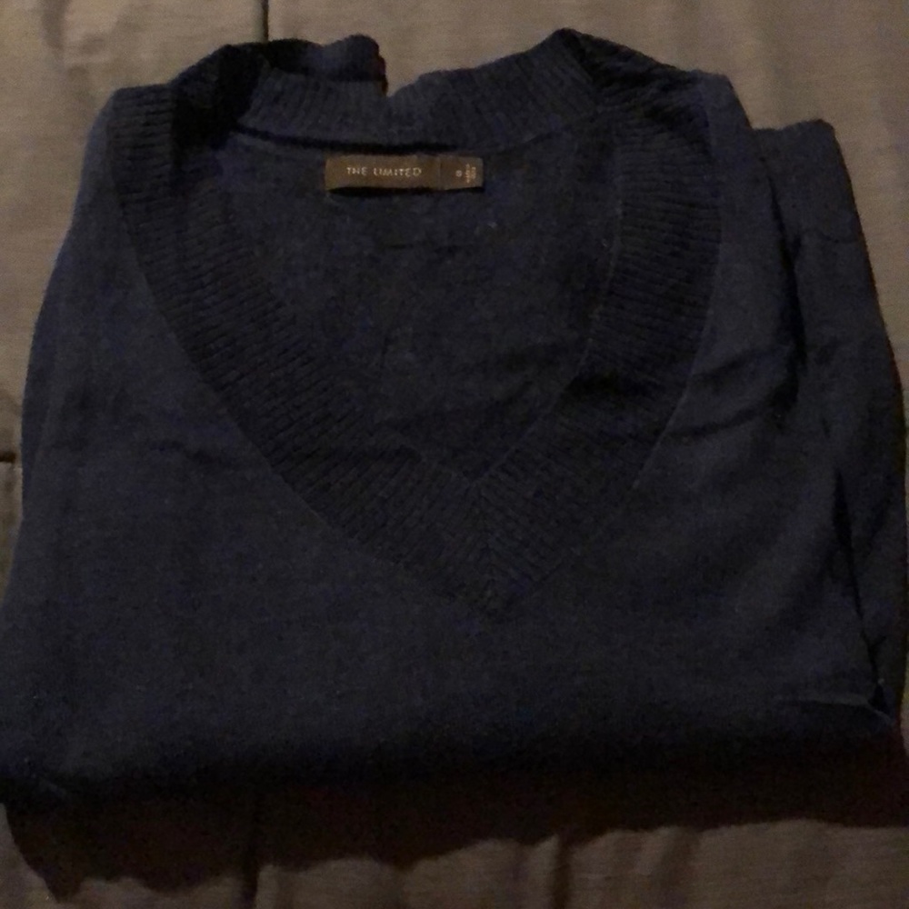 The Limited v-neck sweater